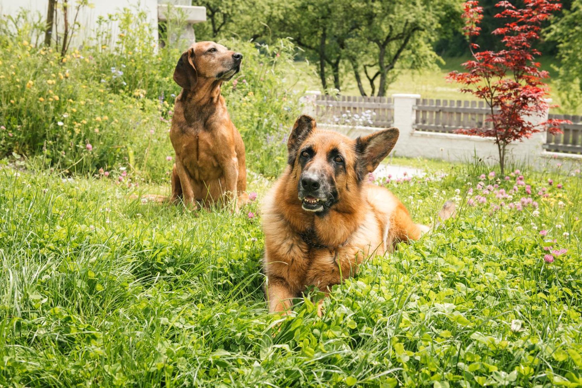 Edenhauserhof Neu Gotzens Екстериор снимка